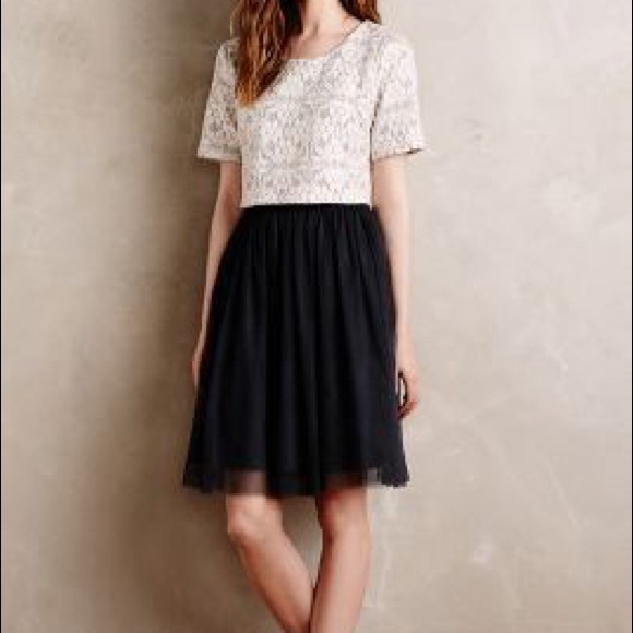 Anthropologie Weston Laced Tulle Dress | Size S - Picture 10 of 10